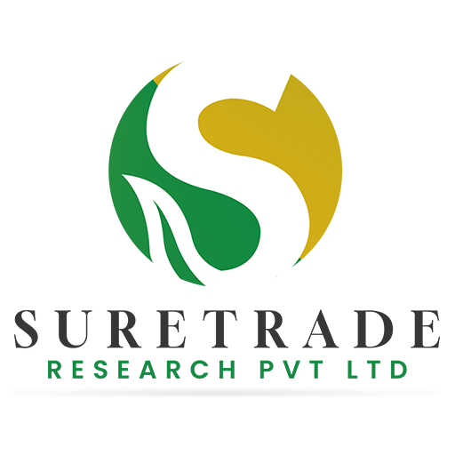 Smart IEC Solution logo