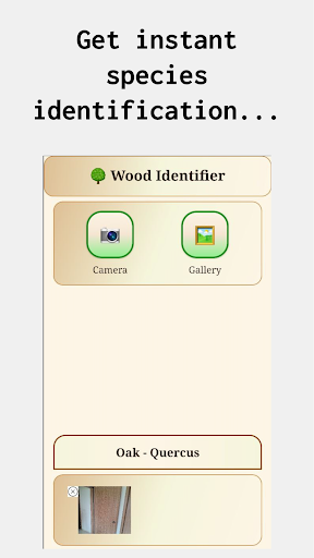 Wood ID : Wood Identifier screenshot 8