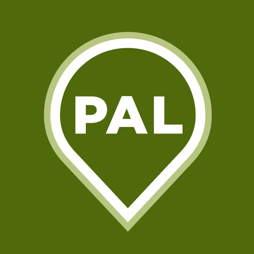 Palo Alto Link logo