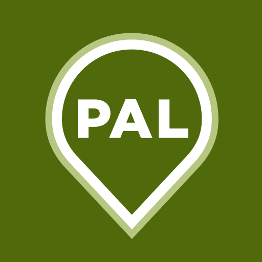 Palo Alto Link  Icon