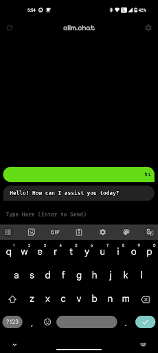 ollm.chat Screen 2