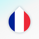 Drops: Learn French language vocabulary & 35.67 APK تنزيل