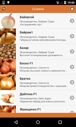 Лук: от «А» до «Я» Screen 2