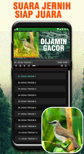 Kicau Trucukan Gacor Nasional Screen 3