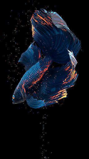 Android application Betta Fish screenshort
