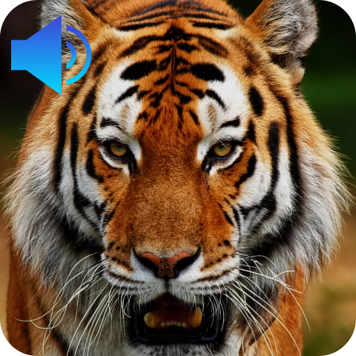 Animal Sounds Download on Windows