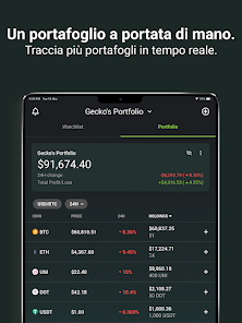 Immagine screenshot