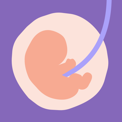 24baby.nl – Pregnant & Baby 1.39.5.622 Icon