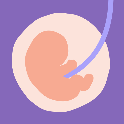 24baby.nl – Pregnant & Baby  Icon