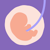 24baby.nl – Pregnant & Baby icon