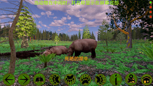 Янтарный лес Screen 2