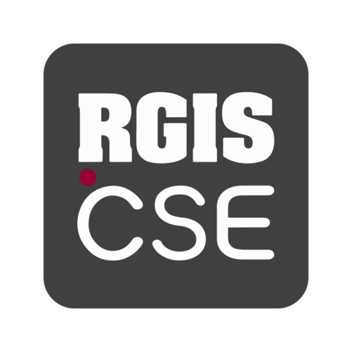 RGIS CSE logo