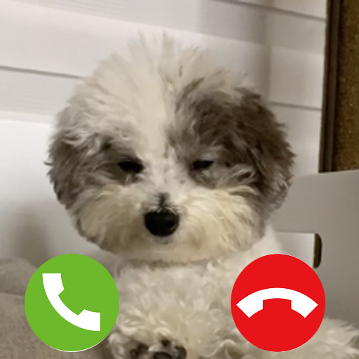 Cute Dog Prank Call cute dog g logo