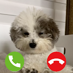 Cover Image of ダウンロード Cute Dog Prank Call cute dog g  APK