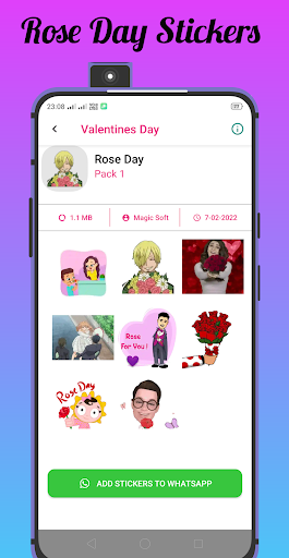 Happy Valentines Day Animated Screen 2