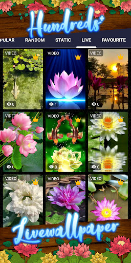 lotus wallpaper Screenshot 3 - AppWisp.com
