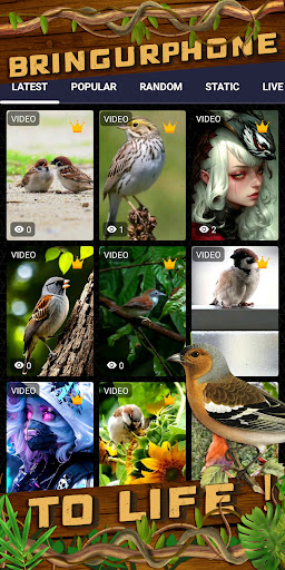 sparrow wallpaper Screen 2
