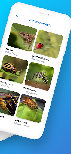 FotoInsect - Bug AI Identifier Screen 2