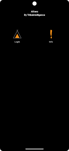 La borsa del CF Screen 2