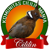 Kicau Cililin icon