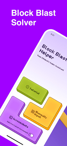 Block Blast Solver screenshot 0