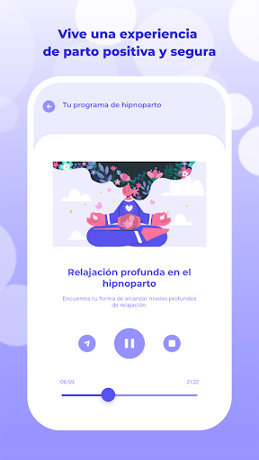 Vista previa de la aplicación