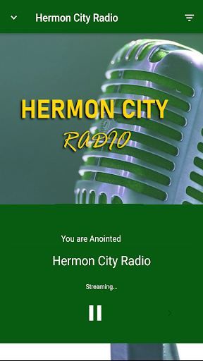 Hermon City Global Screen 2