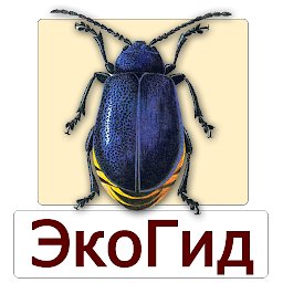 Icon image EcoGuide: Forest Insect Pests