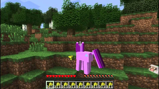 Pony for minecraft