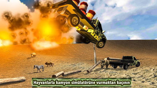 Ekran görüntüsü resmi
