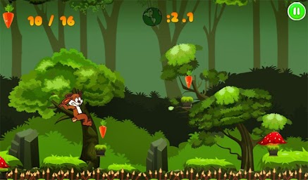 Jungle Bunny Run