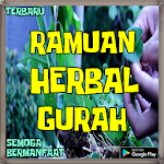 Cover Image of Tải xuống Resep cara Membuat Ramuan Gura  APK