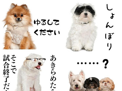 200以上 無料 写真 犬 259523