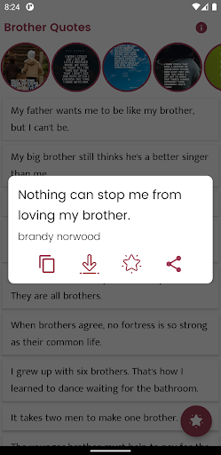 Brother Quotes and Sayings Screen 3