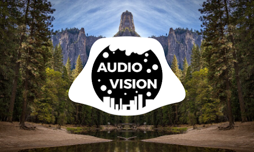 AudioVision 4