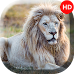 Cover Image of डाउनलोड White Lion Wallpapers - 4k &  APK