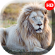 White Lion Wallpapers  - 4k & - Androidアプリ