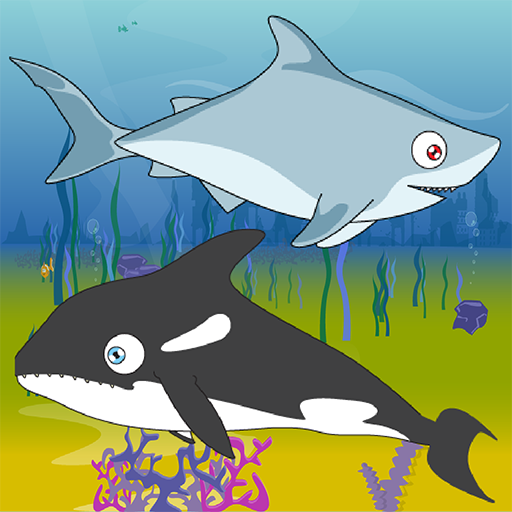 Shark Feed logo