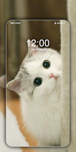 Cute Cat Wallpaper Live HD