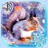 Winter Squirrel Forest icon