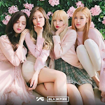 Cover Image of Download Blackpink wallpapers HD 2021  APK