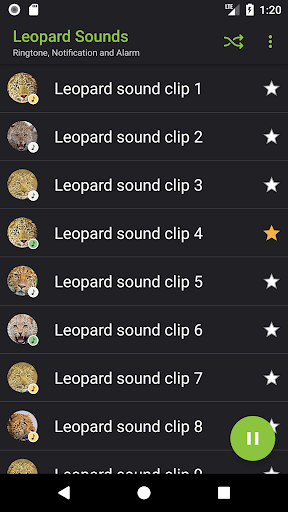 Leopard Sounds Screen 2