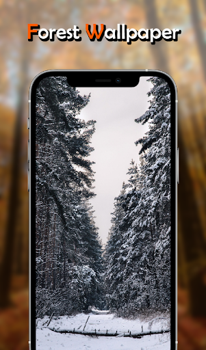 Forest Wallpaper HD Screen 2