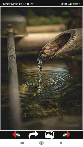 Magical Forest Wallpapers 2024 Screen 3