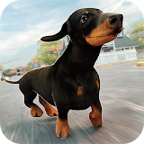 Dog Simulator 2017 icon
