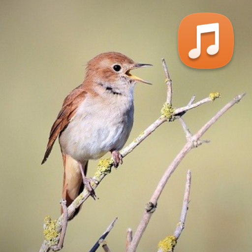 Nightingale Call Sounds HD logo
