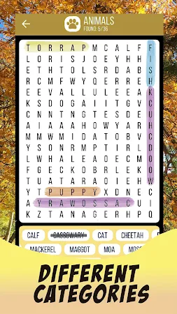 Game screenshot Word Search & Word Games hack