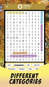 Word Search 2022