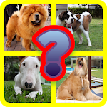 Cover Image of Download MyPet Trivia Dog Breed Offline 8.1.1z APK