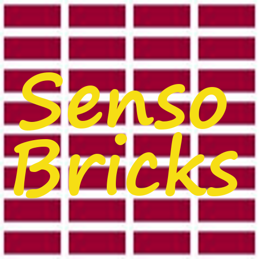 SensoBricks  Icon